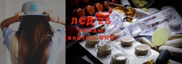 прущие крисы Няндома