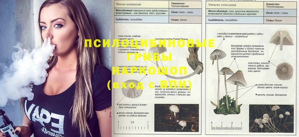 прущие крисы Няндома