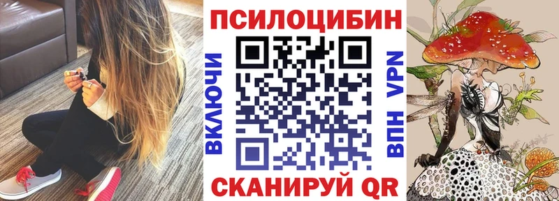 Купить Химки Галлюциногенные грибы Cubensis