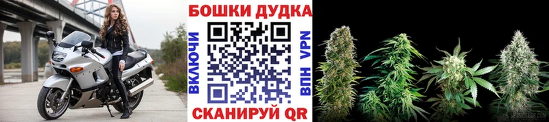 Купить где  Химки  Бошки Шишки марихуана 